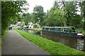 Canoes on the Llangollen Canal