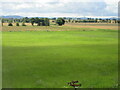 Grass field near Ballindean