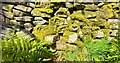 Benchmark cut into drystone wall, Nidderdale