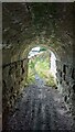 View from inside footpath tunnel