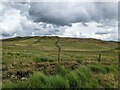 SN7668 : Drainage channels at Pen Waun-wen by David Medcalf