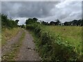 Hollies Lane towards Park Atwood