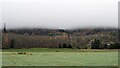 View of a cloudy Gallow Hill