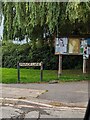 Noticeboards under a weeping willow, Manor Lane, Charfield