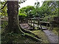 Public footpath footbridge by Alton Towers