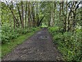 Churnet way long-distance footpath