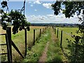 Path to Crundalls Lane and Catchems End