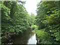 River Wansbeck, from Bothal Mill bridge