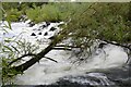 SP1652 : Weir on the River Avon by Philip Halling