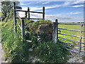 Stone Stile, Treviskey