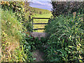 Stone Stile, Veryan