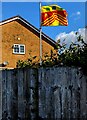 Red and yellow flag, Stonehouse