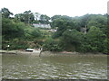 SX4265 : South Hooe, on the Devon Bank of the Tamar by Christine Johnstone
