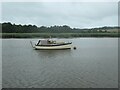 SX4165 : Boat moored on the Tamar, downstream of North Hooe by Christine Johnstone