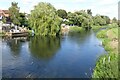 SP0951 : River Avon at Bidford-on-Avon by Philip Halling