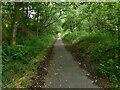 NS4886 : Old railway line path by Richard Sutcliffe