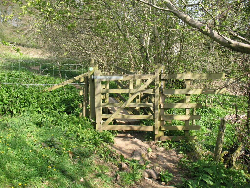 gate-and-footbridge-adrian-taylor-geograph-britain-and-ireland