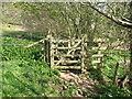 Gate and footbridge