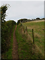 SH3793 : The Anglesey Coastal Path, Penrhyn Mawr, Cemaes by habiloid