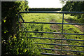 Tricky gate near Furze Hill