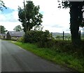 Road near Plas Llecheiddior