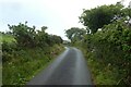 Road on a wet day