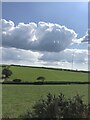 Farmland near Woodstock