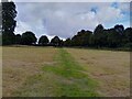 Conholt Park footpath