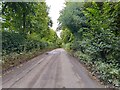 Lane beside Conholt House