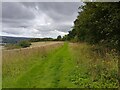 Conholt footpath