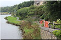 Path by Castle Pond, Pembroke River