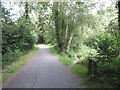 SH6313 : Mawddach Trail near Barmouth by Malc McDonald