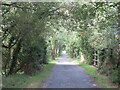 SH6314 : Mawddach Trail near Barmouth by Malc McDonald
