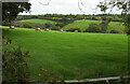 Valley near Rowden