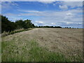 Stubble field, Welbourn Heath