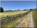 Farm track to Woodland