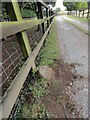 Old Boundary Marker at Bury Hill Farm, Winterbourne Down