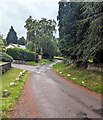 No parking on the grass, Llantrisant, Monmouthshire