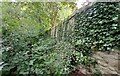 Boundary Wall of Alma Gardens, Ripon