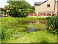 Pond in the second graveyard of Christ Church, Liversedge