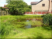 SE2023 : Pond in the second graveyard of Christ Church, Liversedge by Humphrey Bolton