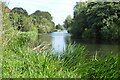 SP0243 : River Avon at Hampton by Philip Halling