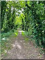 Bridleway to the London Road