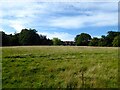 Barn Field