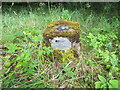 Ordnance Survey Fundamental Bench Mark