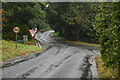 Road junction, Sternfield