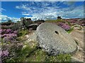 SK2580 : Abandoned millstone on Hathersage Moor by Graham Hogg