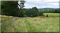 The Gritstone trail.