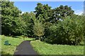 Path in Freemantle Lake Park