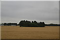 Farmland, Stoker Farm